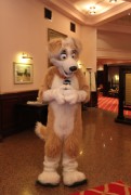 ConFuzzled 2010