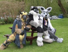 ConFuzzled 2010