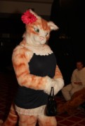 ConFuzzled 2010