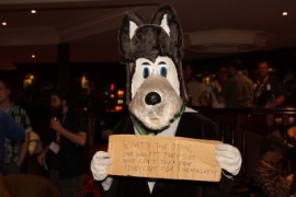 ConFuzzled 2010