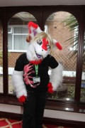 ConFuzzled 2010