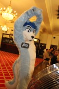 ConFuzzled 2010