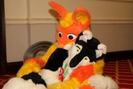 ConFuzzled 2010