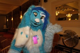 ConFuzzled 2010