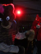 ConFuzzled 2010