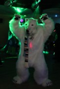 ConFuzzled 2010