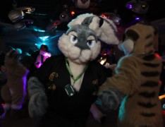 ConFuzzled 2010