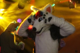 ConFuzzled 2010