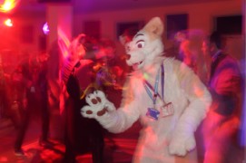 ConFuzzled 2010