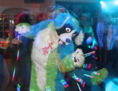 ConFuzzled 2010