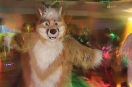 ConFuzzled 2010