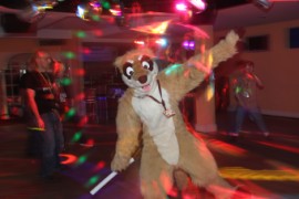 ConFuzzled 2010