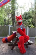 ConFuzzled 2010