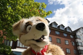 ConFuzzled 2010