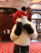 ConFuzzled 2010