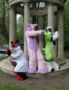 ConFuzzled 2010