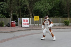 ConFuzzled 2010