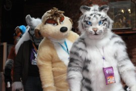 ConFuzzled 2010