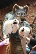 ConFuzzled 2010