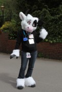 ConFuzzled 2010