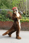 ConFuzzled 2010