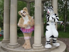 ConFuzzled 2010