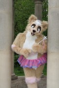 ConFuzzled 2010