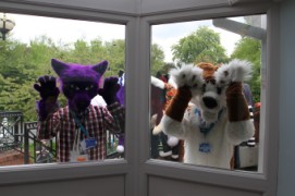 ConFuzzled 2010