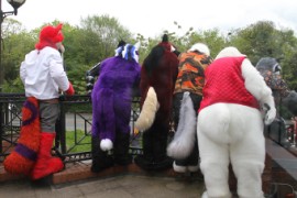 ConFuzzled 2010