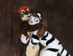 ConFuzzled 2010