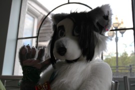 ConFuzzled 2010