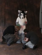 ConFuzzled 2010