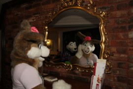 ConFuzzled 2010