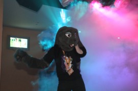 ConFuzzled 2010