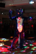 ConFuzzled 2010