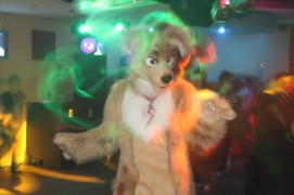 ConFuzzled 2010