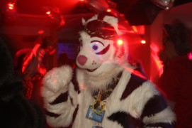 ConFuzzled 2010