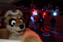 ConFuzzled 2010