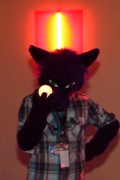 ConFuzzled 2010