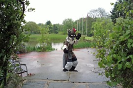 ConFuzzled 2013