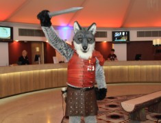 ConFuzzled 2013