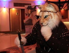 ConFuzzled 2013