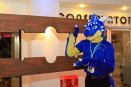 ConFuzzled 2013