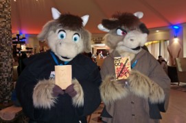 ConFuzzled 2013