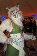 ConFuzzled 2013