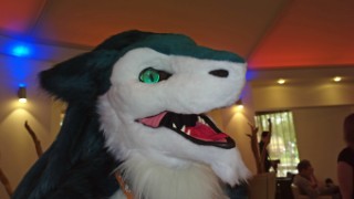 ConFuzzled 2013