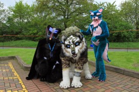 ConFuzzled 2013