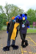 ConFuzzled 2013