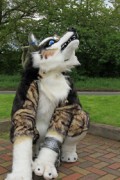 ConFuzzled 2013