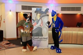 ConFuzzled 2013